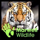 Marwell Wildlife