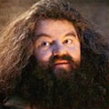 Hagrid