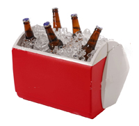 ESL vocab - a beer cooler