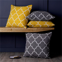 ESL Vocab - a cushion