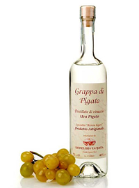 ESL Vocab - grappa