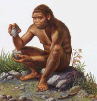 ESL Vocab - homo erectus