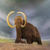 A mastodon