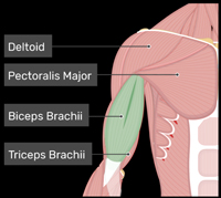 vocab image