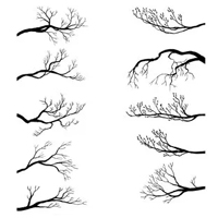 ESL Vocab - tree branches