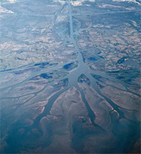 A river delta