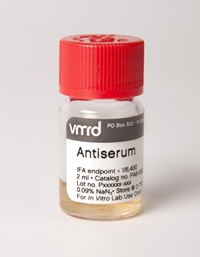 ESL Vocab - Antiserum 