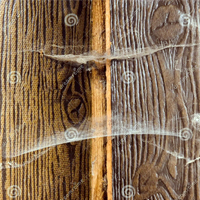 ESL Vocab - a cobweb