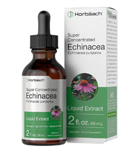 ESL Vocab - Echinacea