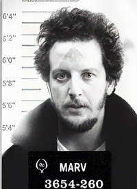 ESL Vocab - A mugshot