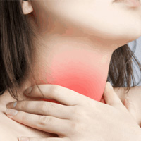 ESL Vocab - the throat