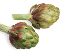 ESL Vocab - An artichoke